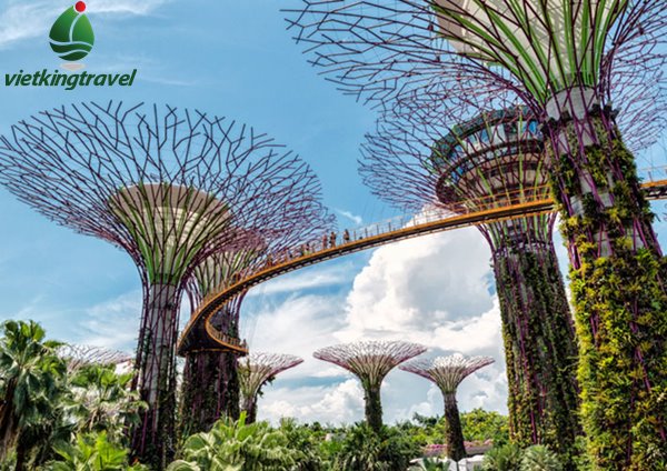 vượn năng lượng Gardens By The Bay