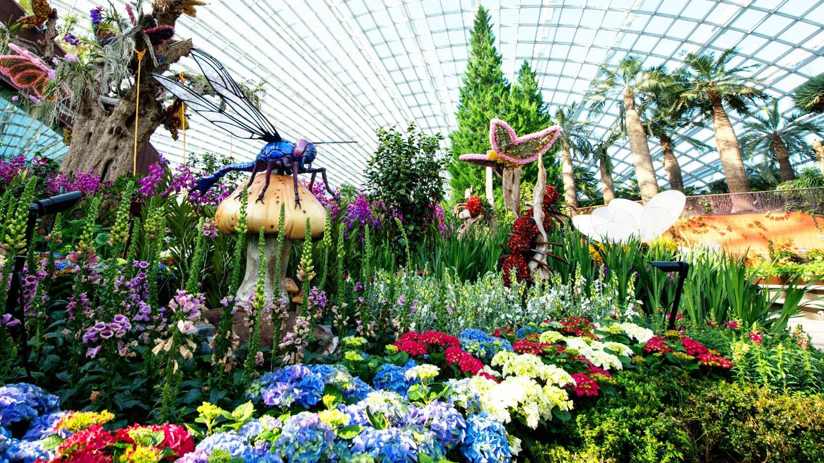 khu nhà kính Flower Dome