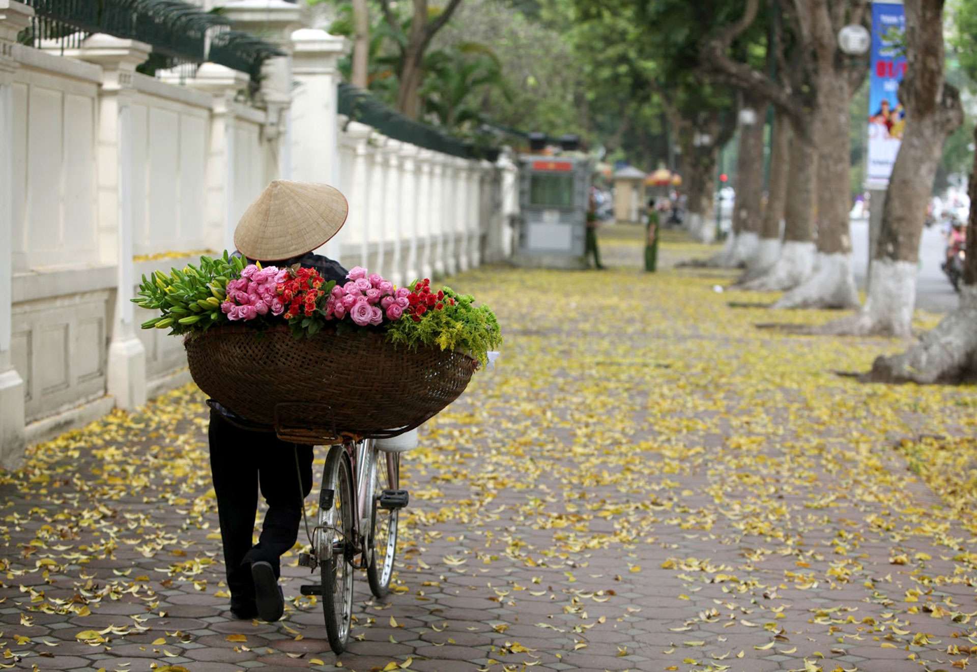 khoảnh khắc trời thu Hà Nội đẹp đến nào.