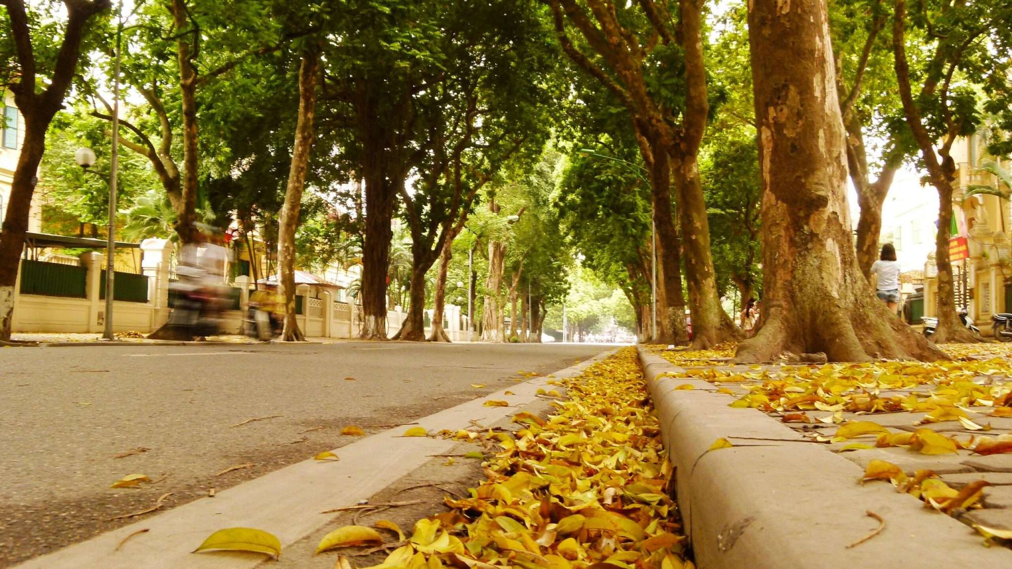Mách bạn Ở HN những điểm tham quan nè vào mùa THU, ĐÔNG ngay nhé!.